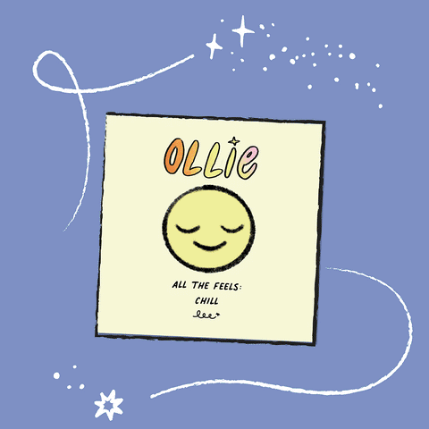 Emoji Mini Pillows and Book Bundle