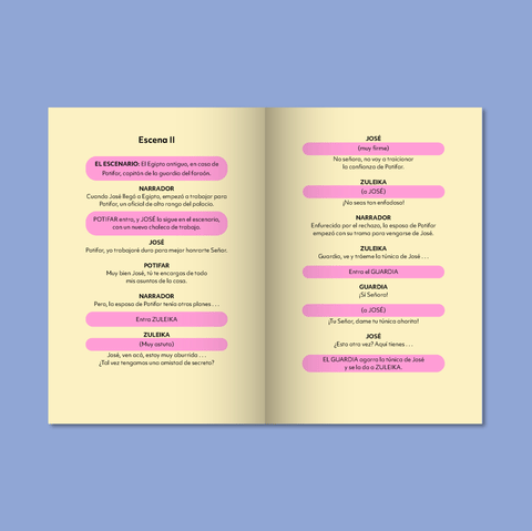 The Dreamer Playbook (Spanish Edition)